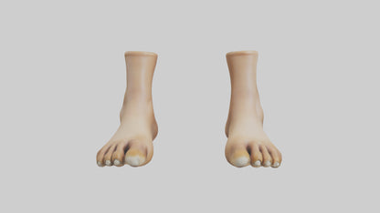 3D model Camel Feet Model VR / AR / low-poly
