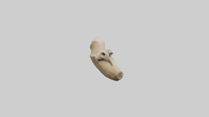 3D model Camel Femur VR / AR / low-poly