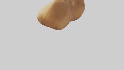 3D model Camel Humps VR / AR / low-poly