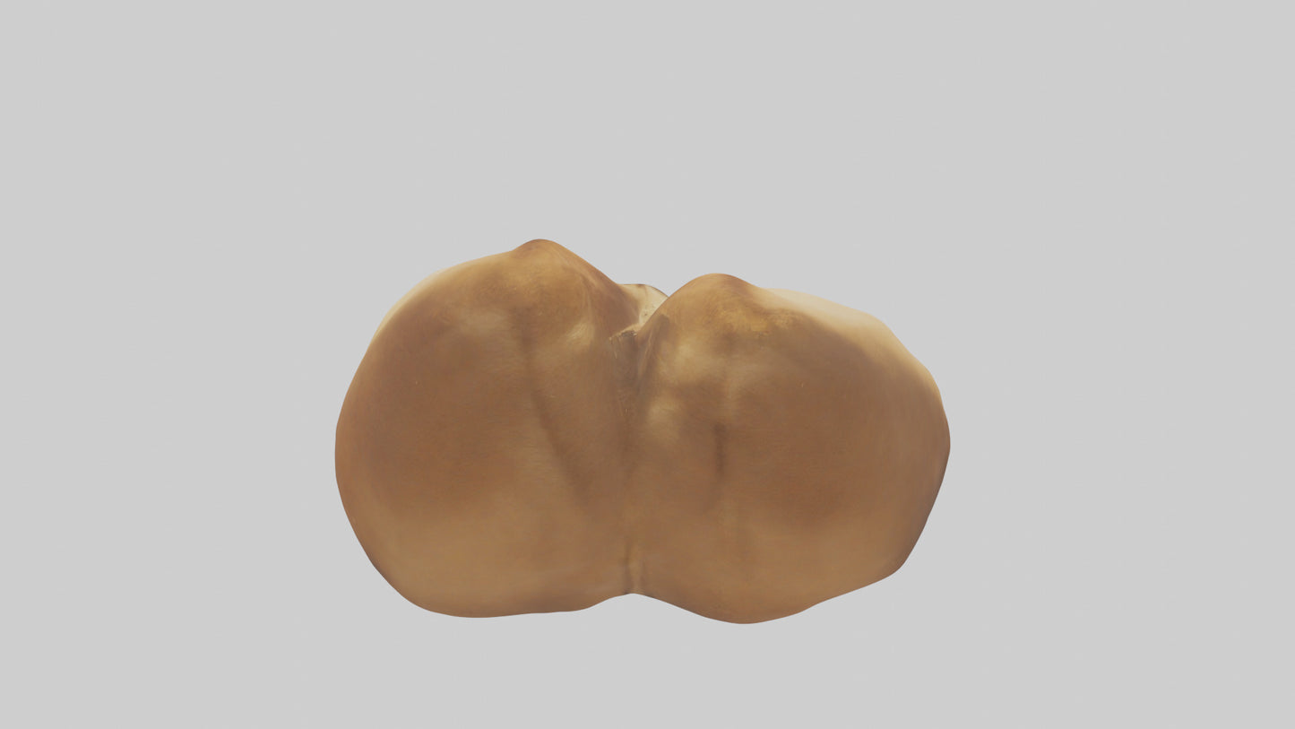 3D model Camel Humps VR / AR / low-poly