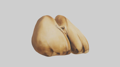 3D model Camel Humps VR / AR / low-poly