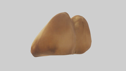 3D model Camel Humps VR / AR / low-poly