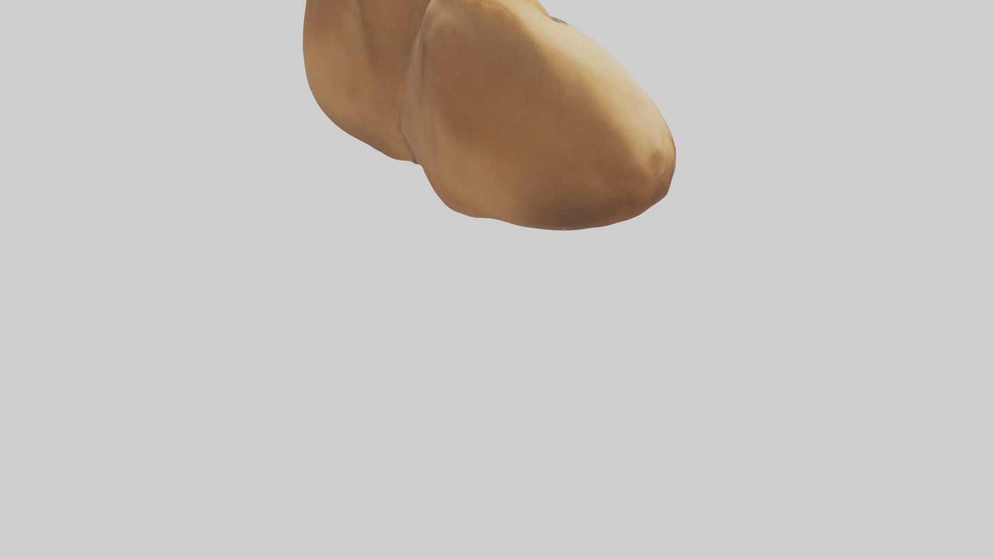 3D model Camel Humps VR / AR / low-poly