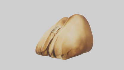 3D model Camel Humps VR / AR / low-poly