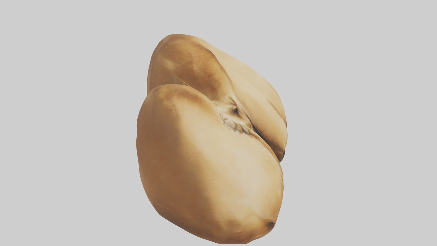 3D model Camel Humps VR / AR / low-poly