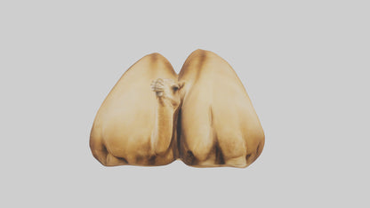 3D model Camel Humps Model VR / AR / low-poly