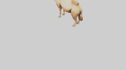 3D model Camel Humps Model VR / AR / low-poly