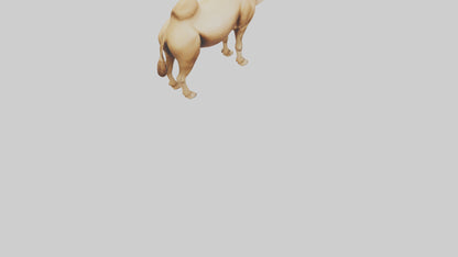 3D model Camel Humps Model VR / AR / low-poly