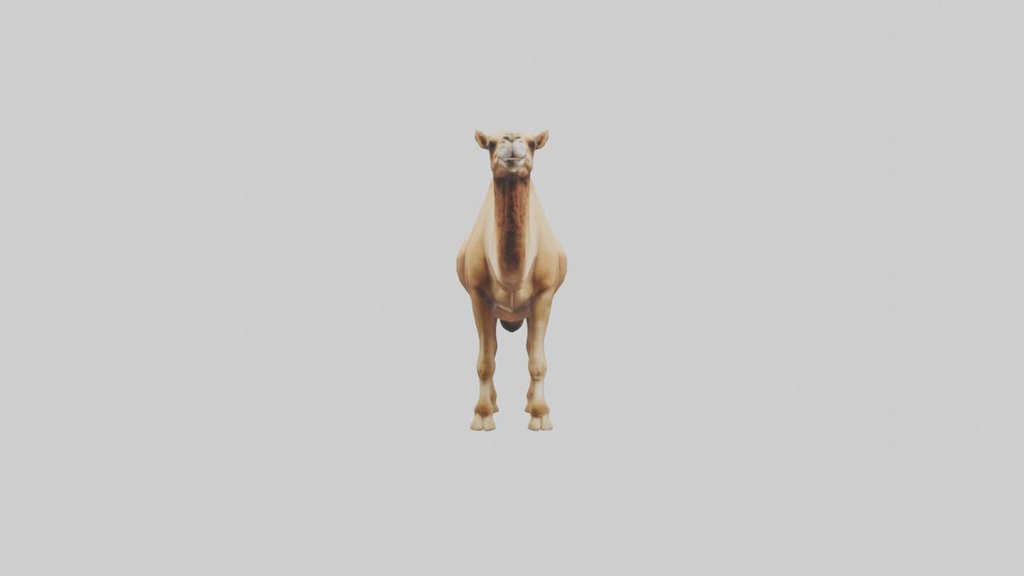 3D model Camel Humps Model VR / AR / low-poly