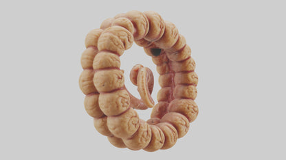 3D model Camel Small Intestine VR / AR / low-poly