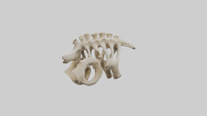 3D model Camel statue model VR / AR / low-poly