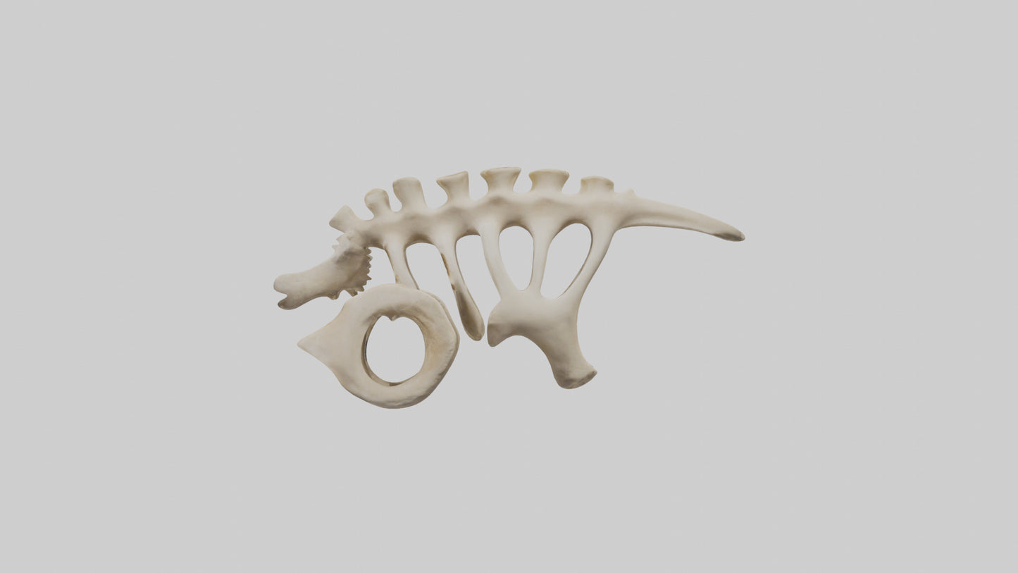 3D model Camel statue model VR / AR / low-poly