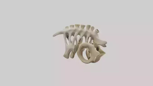 3D model Camel statue model VR / AR / low-poly