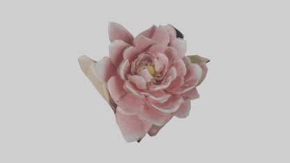 3D model Camellia model VR / AR / low-poly