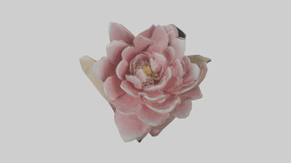 3D model Camellia model VR / AR / low-poly