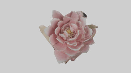 3D model Camellia model VR / AR / low-poly