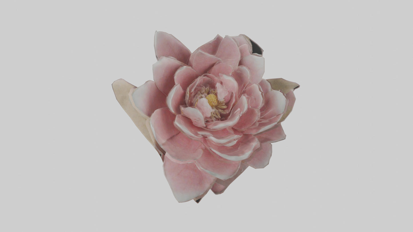3D model Camellia model VR / AR / low-poly