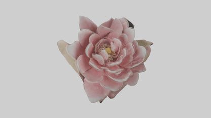 3D model Camellia model VR / AR / low-poly