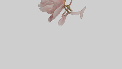 3D model Camellia model VR / AR / low-poly