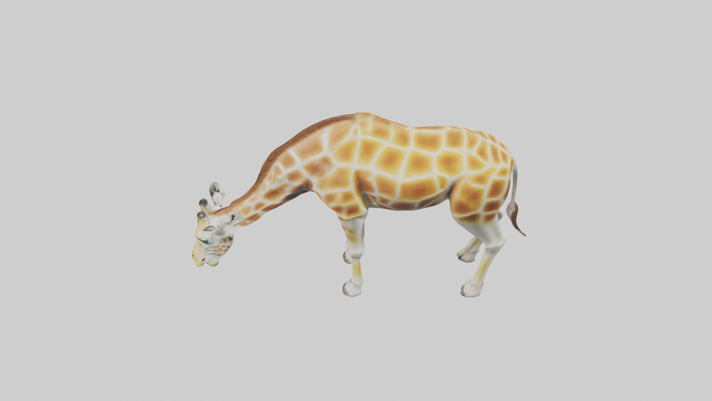 Camelopardalis Giraffe grazing model VR / AR / low-poly