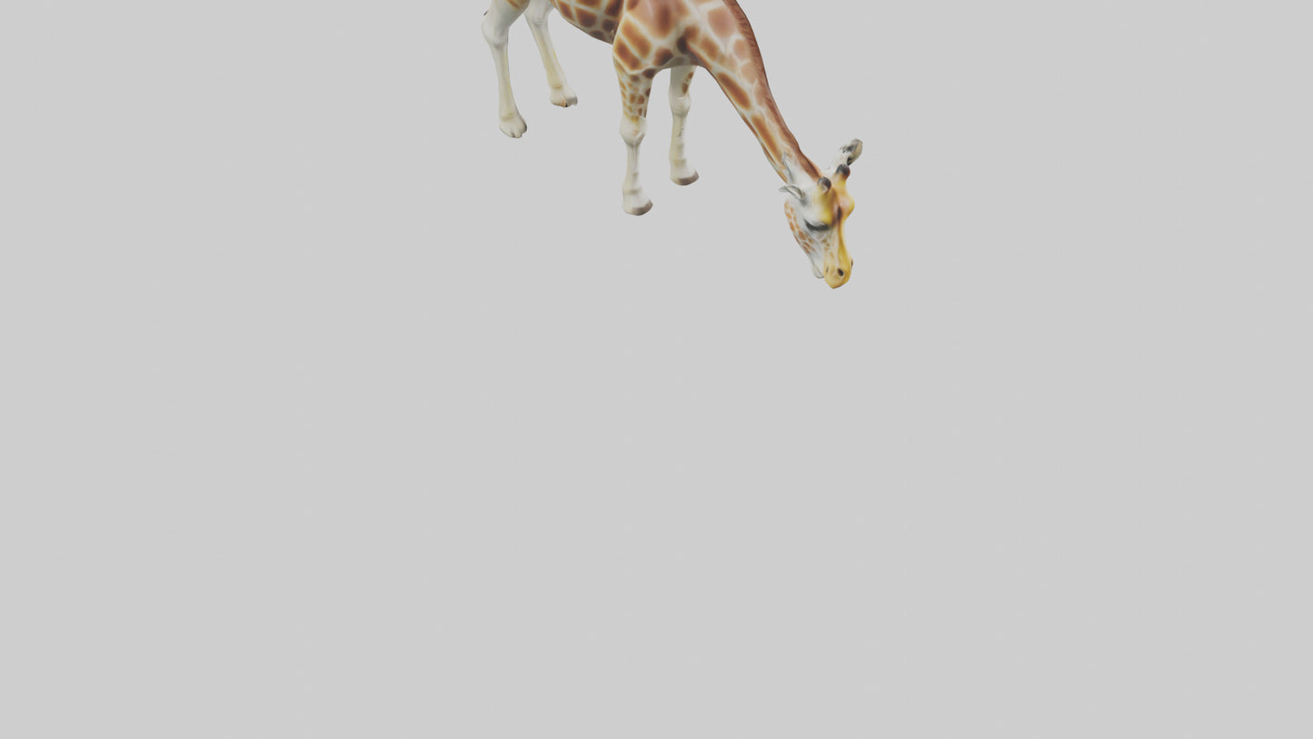 Camelopardalis Giraffe grazing model VR / AR / low-poly