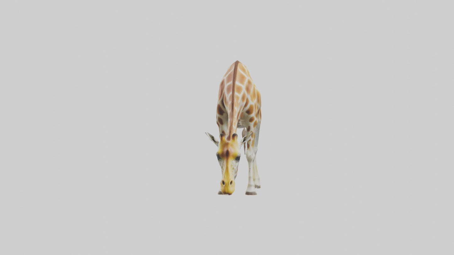 Camelopardalis Giraffe grazing model VR / AR / low-poly