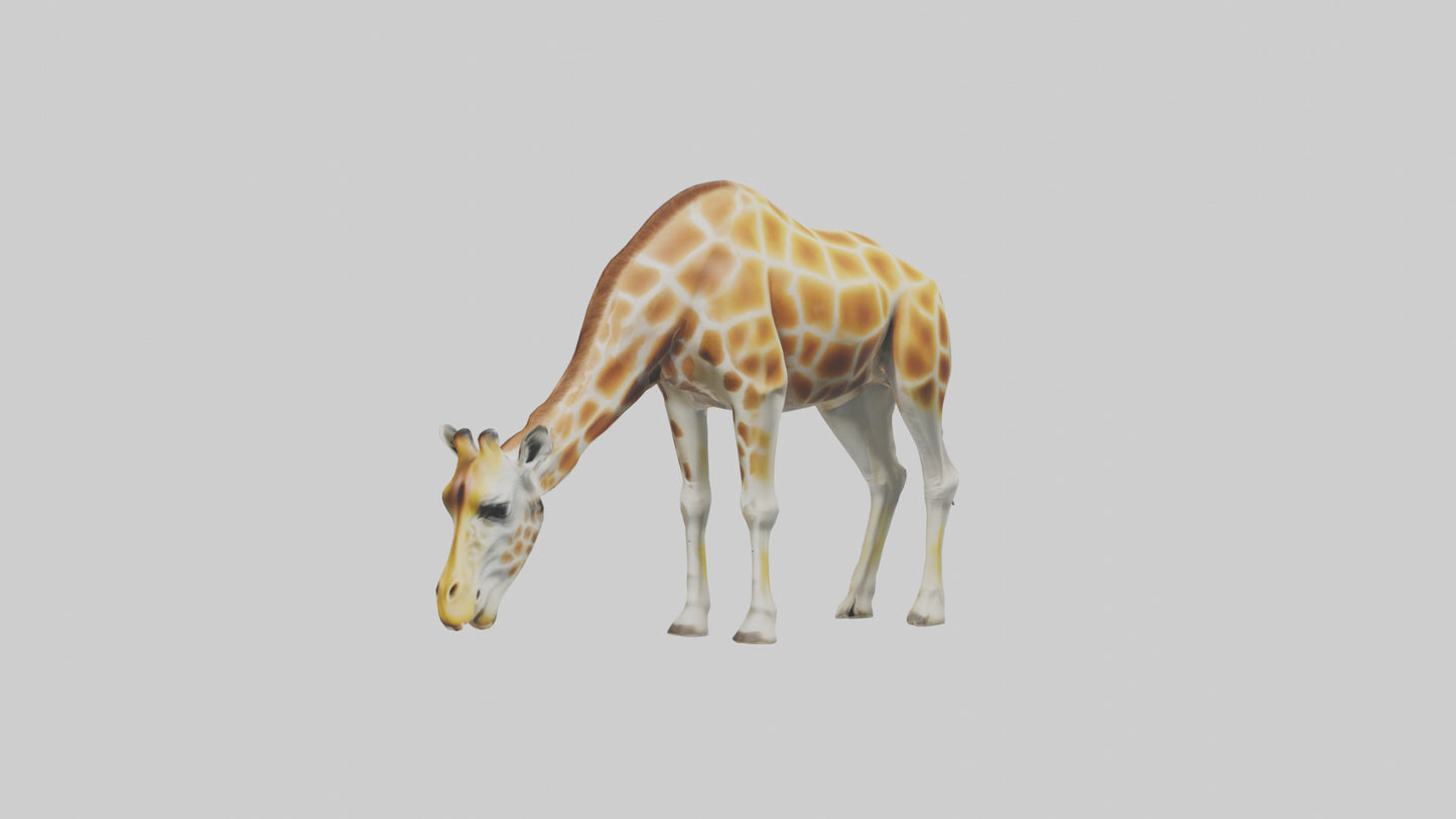 Camelopardalis Giraffe grazing model VR / AR / low-poly