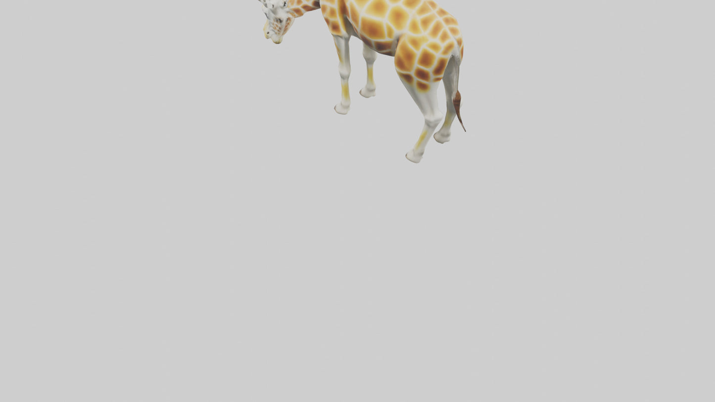 Camelopardalis Giraffe grazing model VR / AR / low-poly