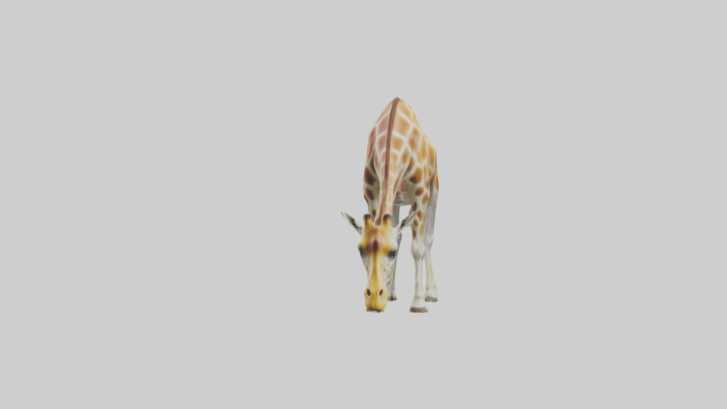 Camelopardalis Giraffe grazing model VR / AR / low-poly