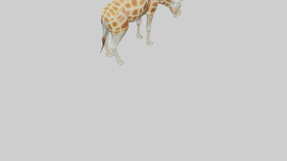 Camelopardalis Giraffe grazing model VR / AR / low-poly