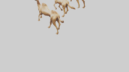 3D model Camels galloping model VR / AR / low-poly