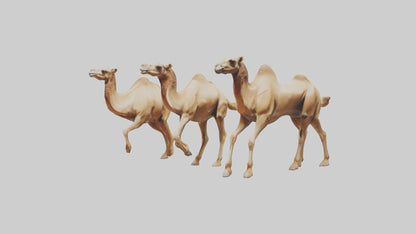 3D model Camels galloping model VR / AR / low-poly