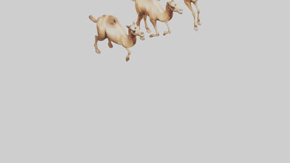 3D model Camels galloping model VR / AR / low-poly