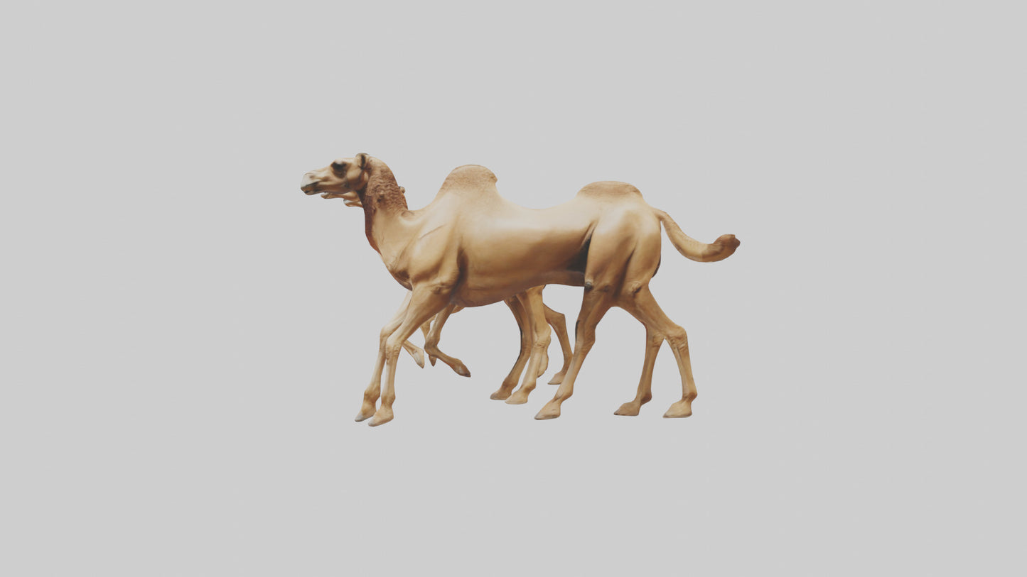 3D model Camels galloping model VR / AR / low-poly