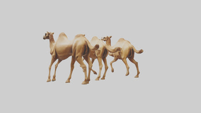 3D model Camels galloping model VR / AR / low-poly