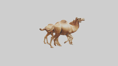 3D model Camels galloping model VR / AR / low-poly