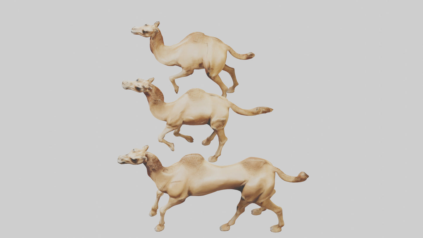3D model Camels galloping model VR / AR / low-poly