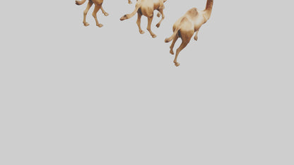 3D model Camels galloping model VR / AR / low-poly