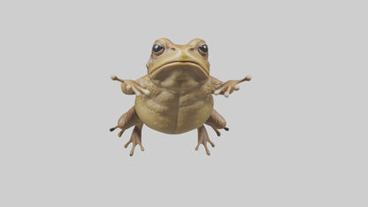 3D model Cane Toad hopping model VR / AR / low-poly