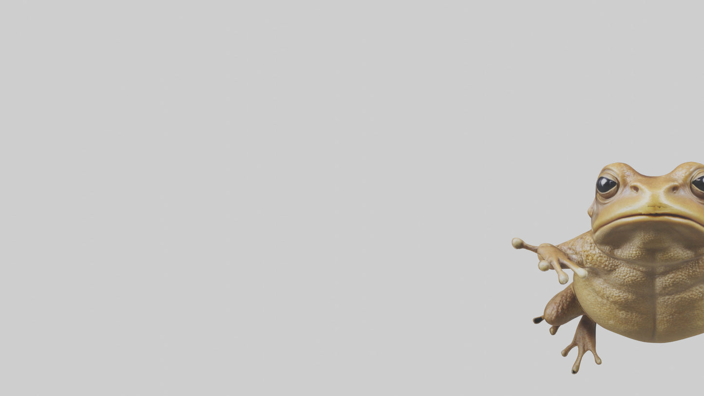 3D model Cane Toad hopping model VR / AR / low-poly