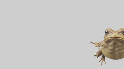 3D model Cane Toad hopping model VR / AR / low-poly