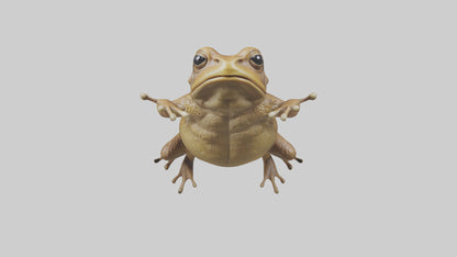 3D model Cane Toad hopping model VR / AR / low-poly