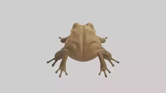 3D model Cane Toad hopping model VR / AR / low-poly