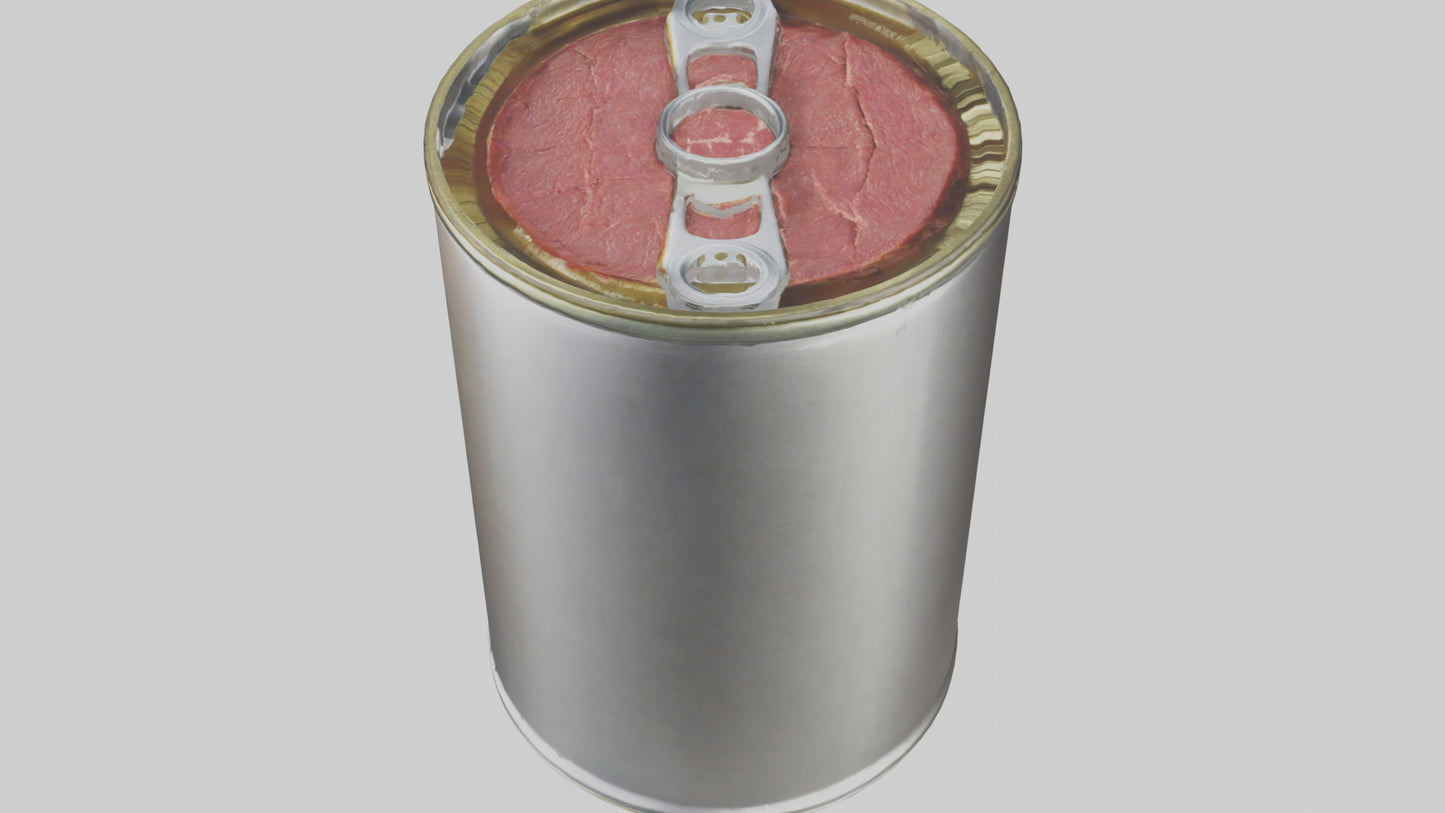 3D model Canned Beef model VR / AR / low-poly