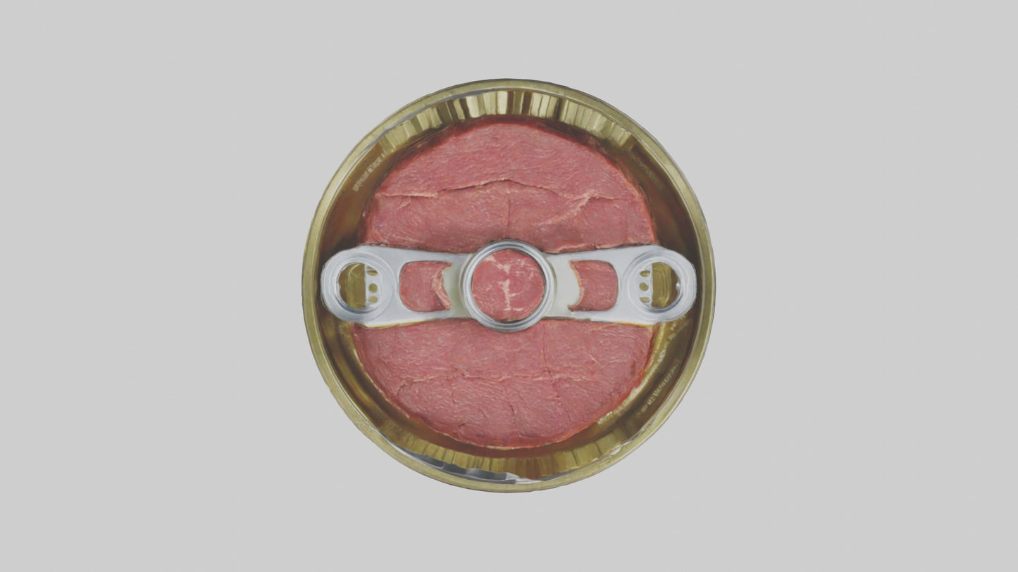 3D model Canned Beef model VR / AR / low-poly