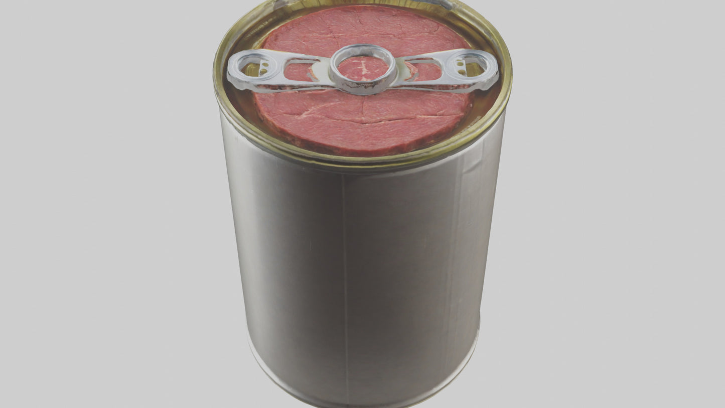 3D model Canned Beef model VR / AR / low-poly