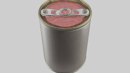 3D model Canned Beef model VR / AR / low-poly