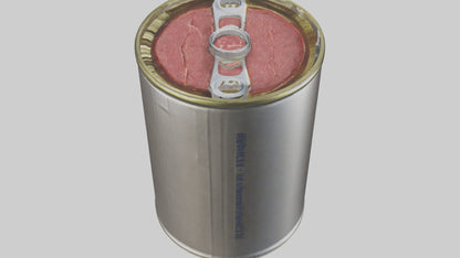 3D model Canned Beef model VR / AR / low-poly