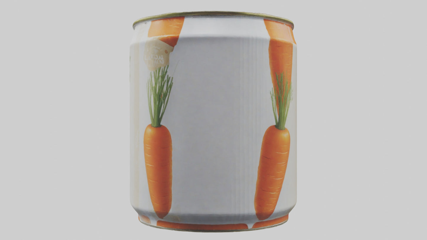 3D model Canned Carrots model VR / AR / low-poly
