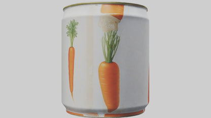 3D model Canned Carrots model VR / AR / low-poly